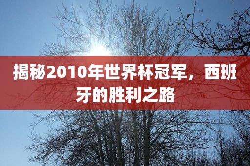 揭秘2010年世界杯冠军，西班牙的胜利之路