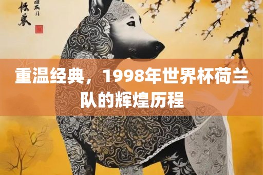 重温经典，1998年世界杯荷兰队的辉煌历程