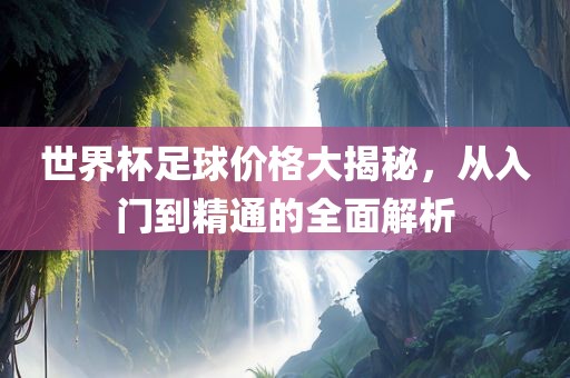 世界杯足球价格大揭秘，从入门到精通的全面解析