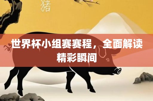 世界杯小组赛赛程，全面解读精彩瞬间