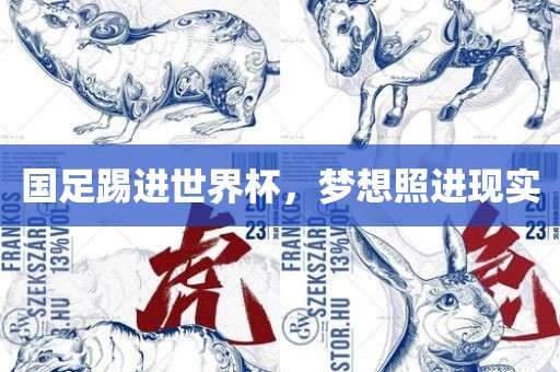 国足踢进世界杯，梦想照进现实吉安市靖泰电力工程有限公司