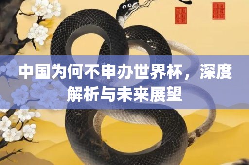 中国为何不申办世界杯，深度解析与未来展望吉安市靖泰电力工程有限公司