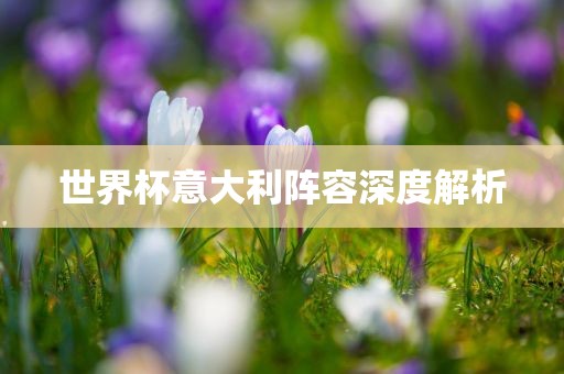 世界杯意大利吉安市靖泰电力工程有限公司阵容深度解析