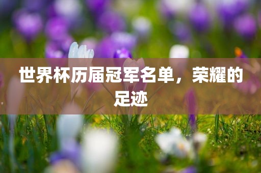 世界杯历届冠军名单，荣耀的足迹