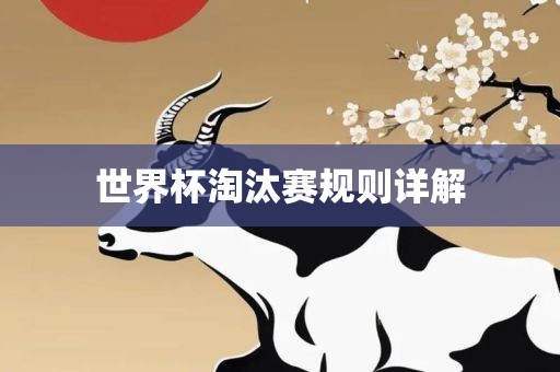 世界杯淘汰赛规则详吉安市靖泰电力工程有限公司解