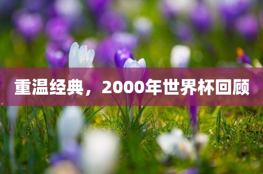 重温经典，2000年世界杯回顾