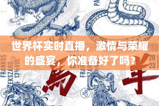 世界杯实时直播，激情与荣耀的盛宴，你准备好了吗？