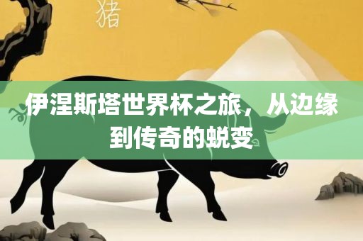伊涅斯塔世界杯之旅，从边缘到传奇的蜕变