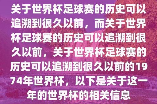 世界杯足球赛 第11页