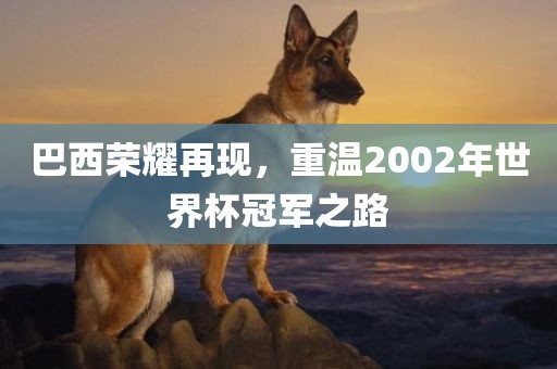巴西荣耀再现，重温2002年世界杯冠军之路吉安市靖泰电力工程有限公司