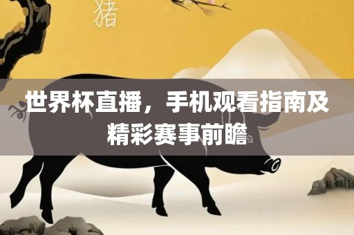 世界杯直吉安市靖泰电力工程有限公司播，手机观看指南及精彩赛事前瞻
