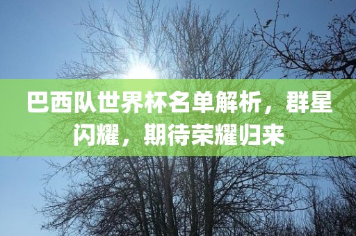 巴西队世界杯名单解析，群星闪耀，期待荣耀归来