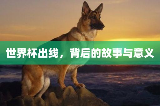 世界杯出线，背后的故事与意义