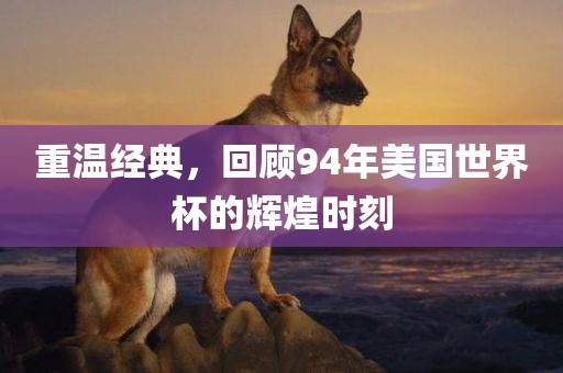重温经典，回顾94年美国吉安市靖泰电力工程有限公司世界杯的辉煌时刻