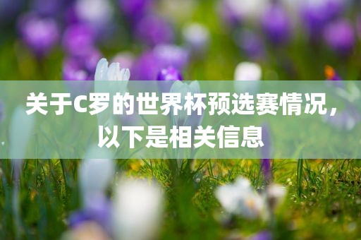 关于C罗的世界杯预选赛情况，以下是相关信息