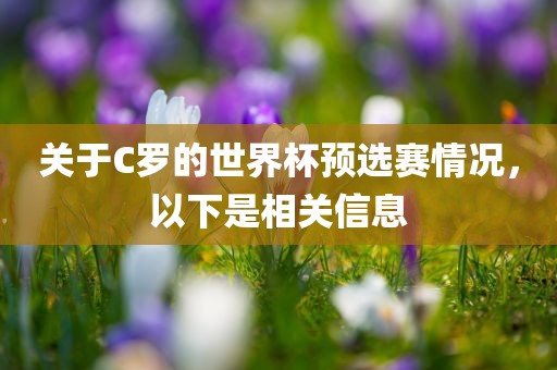 关于C罗的世界杯预选赛情况，以下是相关信息