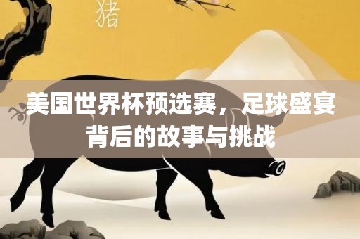 美国世界杯预选赛，足球盛宴背后的故事与挑战
