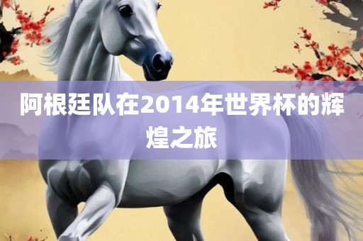 阿根廷队在2014年世界杯的辉煌之旅