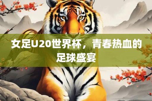 女足U20世界杯，青春热血的足球盛宴