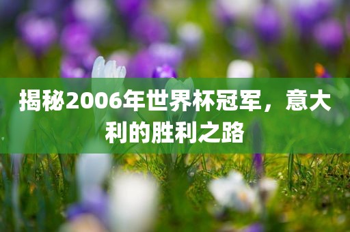 揭秘2006年世界杯冠军，意大利的胜利之路