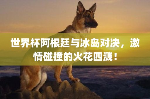 世界杯阿根廷与冰岛对决，激情碰撞的火花四溅！