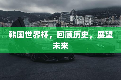 韩国世界杯，回顾历史，展望未来吉安市靖泰电力工程有限公司