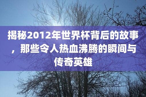 揭秘2012年世界杯背后的故事，那些令人热血沸腾的瞬间与传奇英雄吉安市靖泰电力工程有限公司