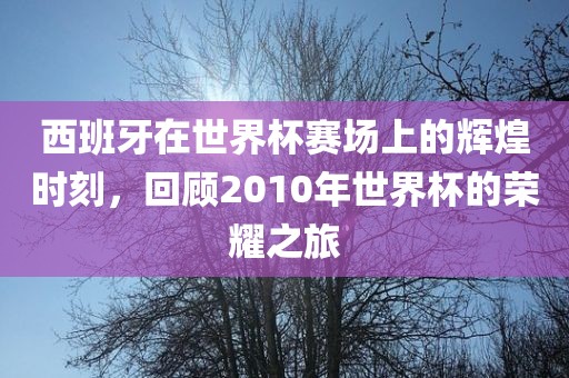 西班牙在世界杯赛场上的辉煌时刻，回顾2010年世界杯的荣耀之旅