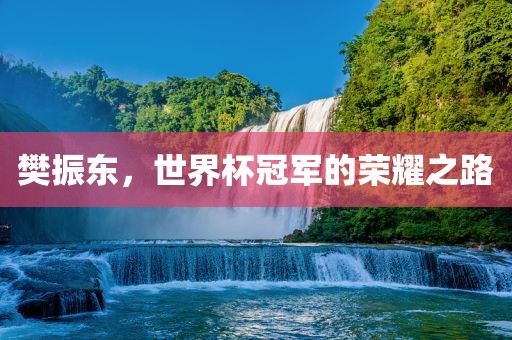 樊振东，世界杯冠军的荣耀之路