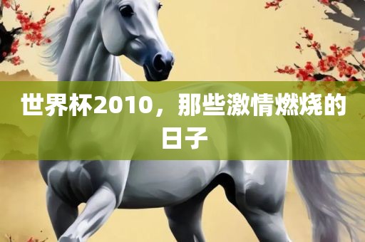 世界杯2010，那些激情燃吉安市靖泰电力工程有限公司烧的日子