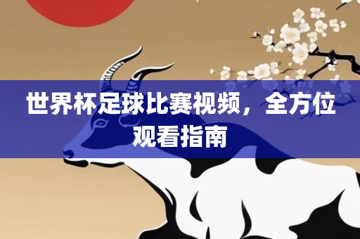 世界杯足球比赛视频，全方位观看指南