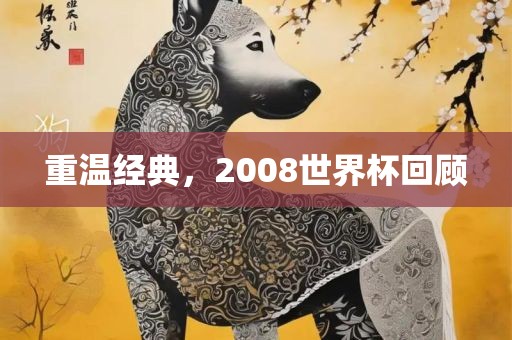 重温经典，2008世界杯回顾吉安市靖泰电力工程有限公司