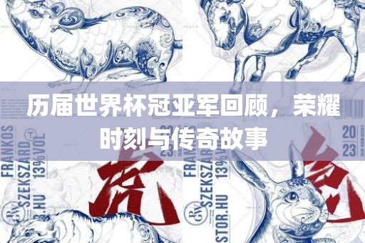 历届世界杯冠亚军回顾，荣耀时刻与传奇故事