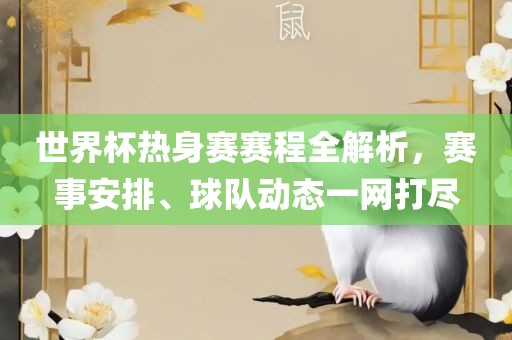 世界杯热身赛赛程全解析，赛事安排、球队动态一网打尽