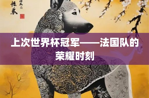 上次世界杯冠军——法国队的荣耀时刻吉安市靖泰电力工程有限公司