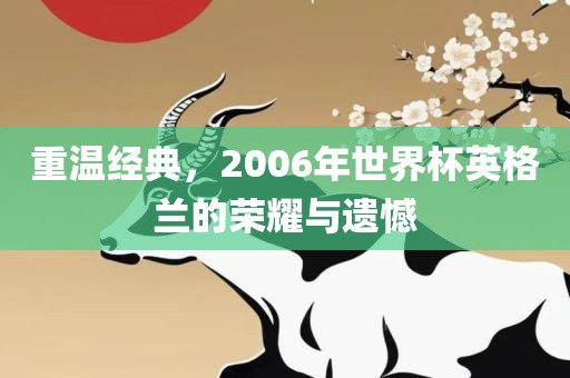 重温经典，2006年世界杯英格兰的荣耀与遗憾