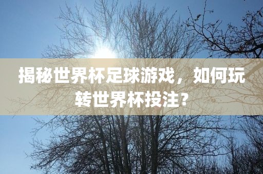揭秘世界杯足球游戏，如何玩转世界杯投注？