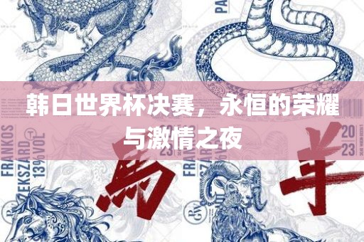 韩日世界杯决赛，永恒的荣耀与激吉安市靖泰电力工程有限公司情之夜