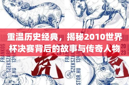 重温历史经典，揭秘2010世界杯决赛背后的故事与传奇人物吉安市靖泰电力工程有限公司