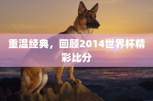 重温经典，回顾2014世界杯精彩比分