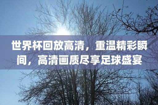 世界杯回放高清，重温精彩瞬间，高清画质尽享足球盛宴