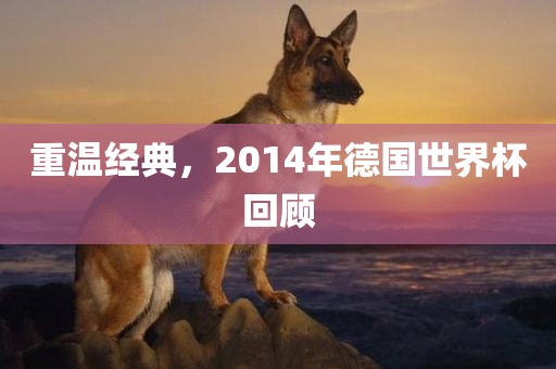 重温经典，2014年德国世界杯回顾