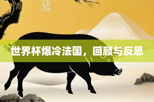 世界杯爆冷法国，回顾与反思吉安市靖泰电力工程有限公司