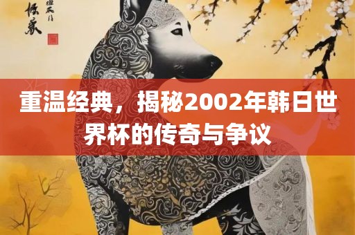 重温经典，揭秘2002年韩日世界杯的传奇与争议
