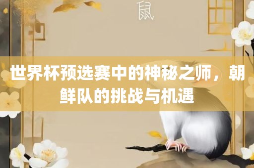 世界杯预选赛中吉安市靖泰电力工程有限公司的神秘之师，朝鲜队的挑战与机遇