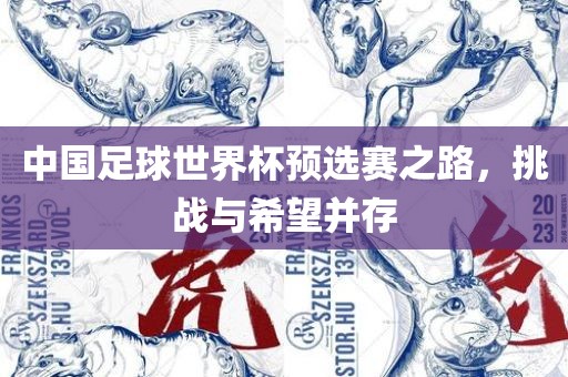 中国足球世界杯预选赛之路，挑战与希望并存