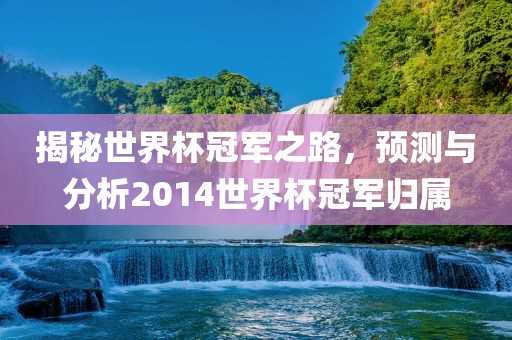 揭秘世界杯冠军之路，预测与分析2014世界杯冠军归属