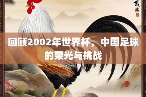 回顾2002年世界杯，中国足球的荣光与挑战