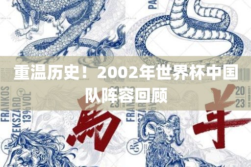 重温历史！2002年世界杯中国队阵容回顾吉安市靖泰电力工程有限公司