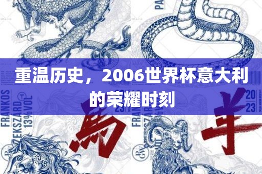 重温历史，2006世界杯意大利的荣耀时刻吉安市靖泰电力工程有限公司